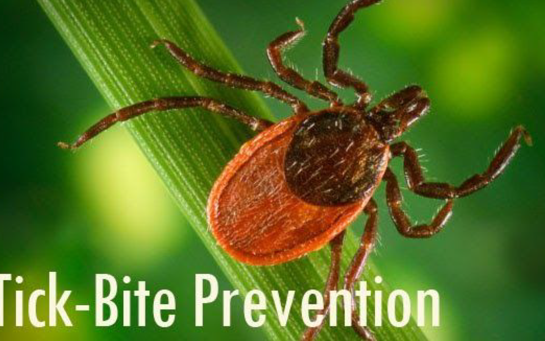 Tick Safety!